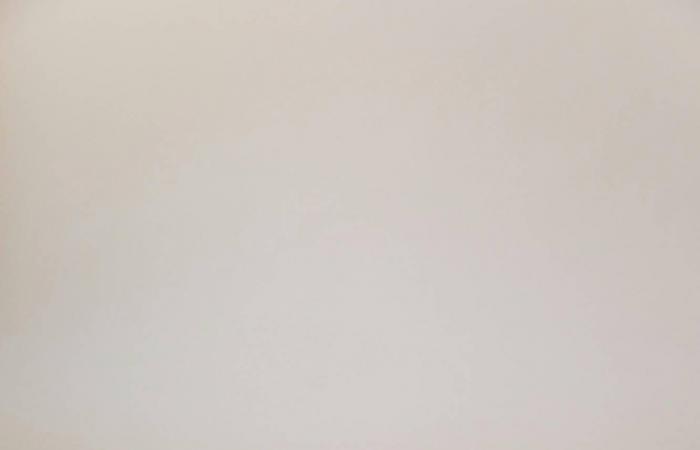 5
      أطعمة
      يمكنك
      تناولها
      بدلاً
      من
      اللجوء
      إلى
      مكملات
      فيتامين
      «د»