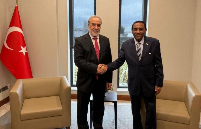 إردوغان
      بحث
      مع
      البرهان
      التطورات
      بالسودان
      في
      ظل
      تصعيد
      «الدعم
      السريع»