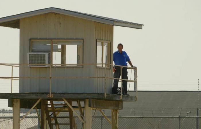 5
      أفلام
      تسجيلية
      سياسية
      تتنافس
      لدخول
      الأوسكار