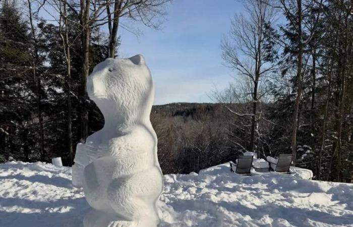 Q&A:
      This
      Waterloo
      snow
      sculptor
      explains
      how
      he
      makes
      his
      snow
      art