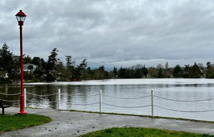 Victoria,
      Esquimalt
      enter
      contest
      for
      swimming
      dock
      funding