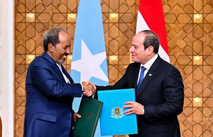 مصر
      ترفض
      اعتراف
      إسرائيل
      بـ«إقليم
      أرض
      الصومال»