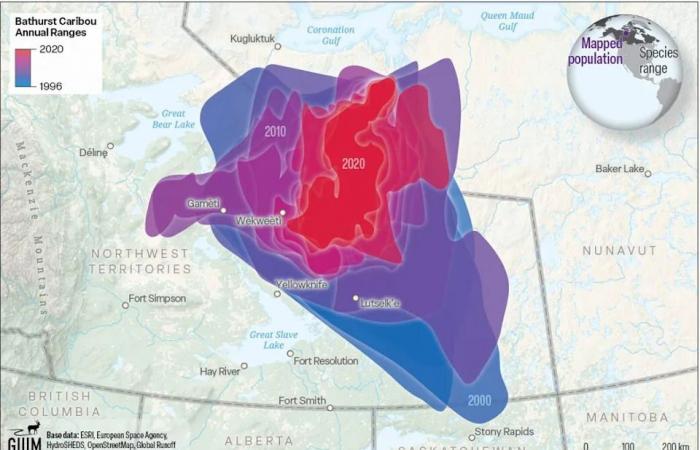 New
      maps
      shine
      light
      on
      decline
      of
      Bathurst
      Caribou
      in
      the
      N.W.T.