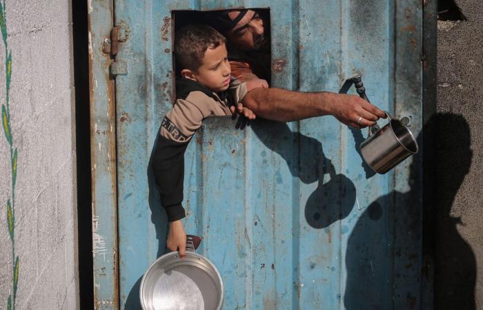 منسق الشؤون الإنسانية في غزة: المجاعة مستمرة.. وإسرائيل تواصل منع وصول المساعدات للفلسطينيين