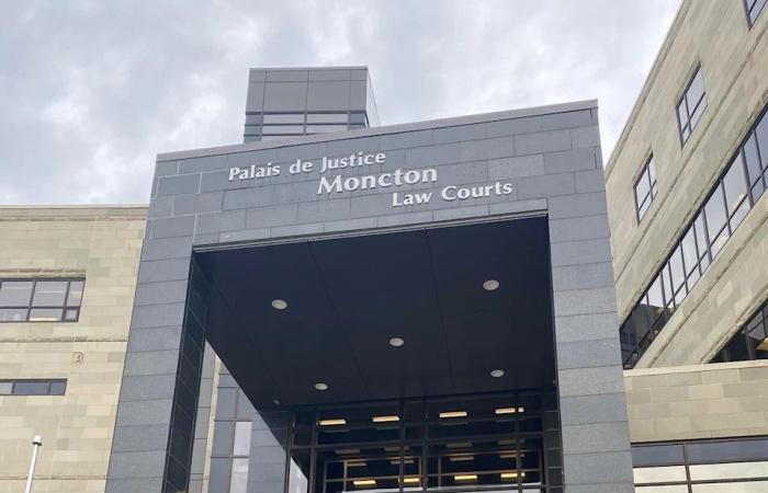 N.B.'s
      1st
      court
      service
      dog
      retires,
      'left
      a
      paw
      print
      on
      all
      our
      hearts'