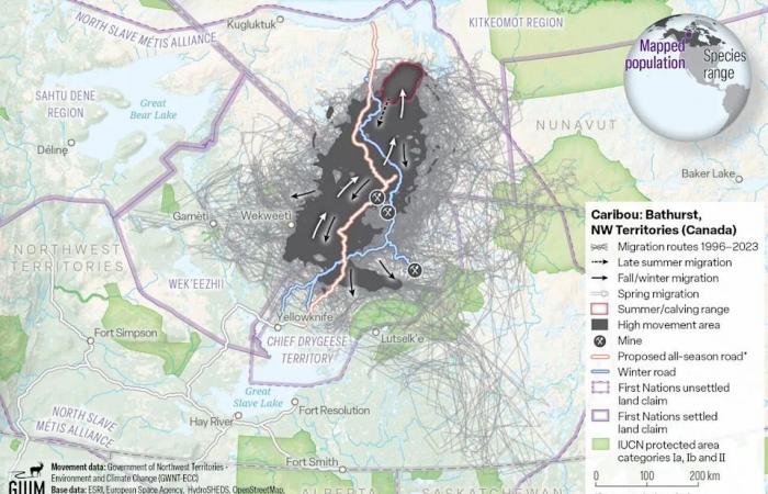 New
      maps
      shine
      light
      on
      decline
      of
      Bathurst
      Caribou
      in
      the
      N.W.T.