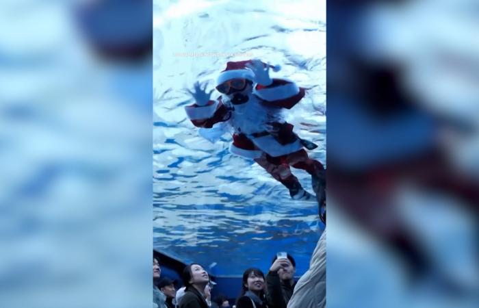 مشاهد لاحتفالات عيد الميلاد حول العالم