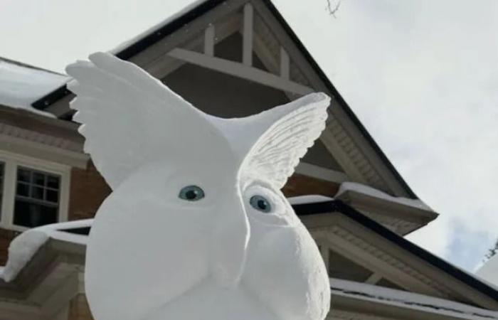 Q&A:
      This
      Waterloo
      snow
      sculptor
      explains
      how
      he
      makes
      his
      snow
      art