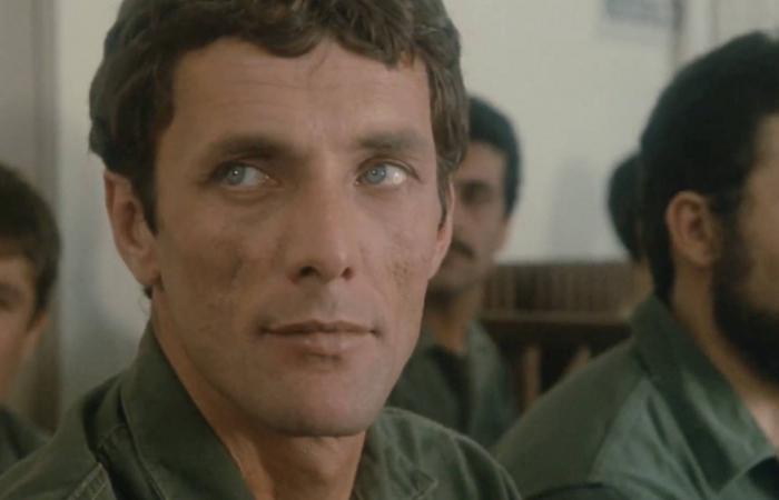 شارع
      فيكتوري
      تحت
      بريستول…
      أسرار
      التاريخ
      تحت
      أقدامنا