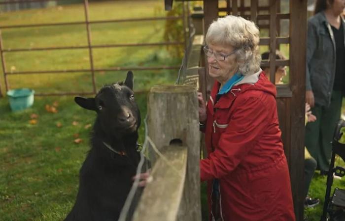 Inside
      a
      B.C.
      ‘dementia
      village'
      that
      researchers
      hope
      could
      reshape
      long-term
      care