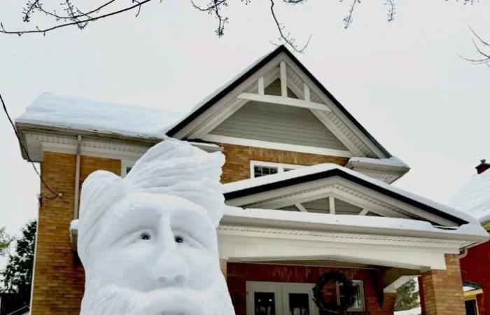 Q&A:
      This
      Waterloo
      snow
      sculptor
      explains
      how
      he
      makes
      his
      snow
      art