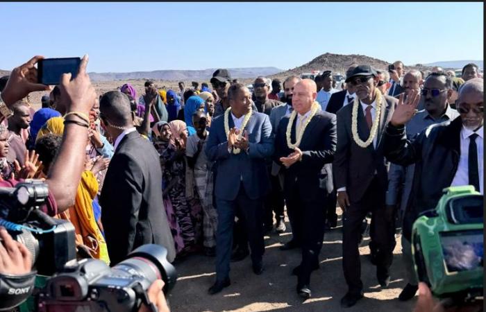 مصر
      تعزز
      علاقاتها
      الاقتصادية
      بجيبوتي
      بالتوازي
      مع
      تطور
      توافقهما
      السياسي