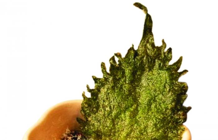 أين
      تأكل
      في
      مومباي
      بميزانيات
      مختلفة؟