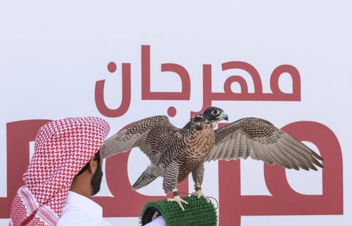 انطلاق مهرجان مرمي الدولي 2026 الخميس المقبل