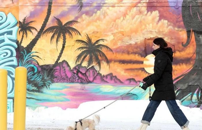 Edmonton
      weather:
      Blowing
      snow
      alert,
      wind
      chill
      -30,
      wild
      swing
      to
      4
      C
      Monday