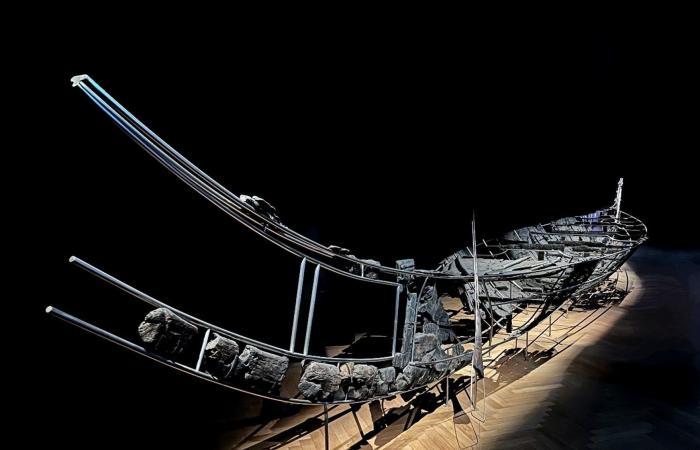 منها أصول البطاطا الغامضة.. إليك أبرز ألغاز تاريخية حلّها العلم في العام 2025