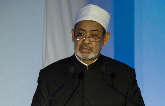 مصر.. البرادعي يرد على مناشدة شيخ الأزهر "ضمير الإنسانية": قبل ذلك مناشدة الأنظمة العربية والإسلامية