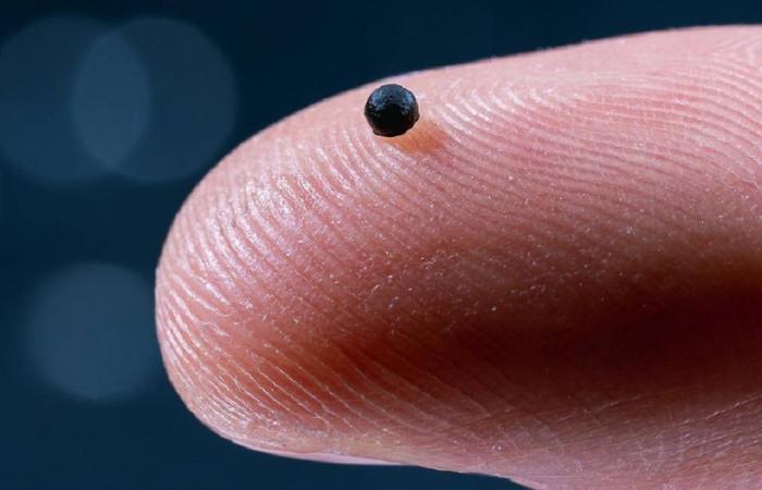 حصاد
      2025...
      «الحوسبة
      الكمومية»
      تتصدر
      المشهد
      وقفزات
      الذكاء
      الاصطناعي
      تتسارع