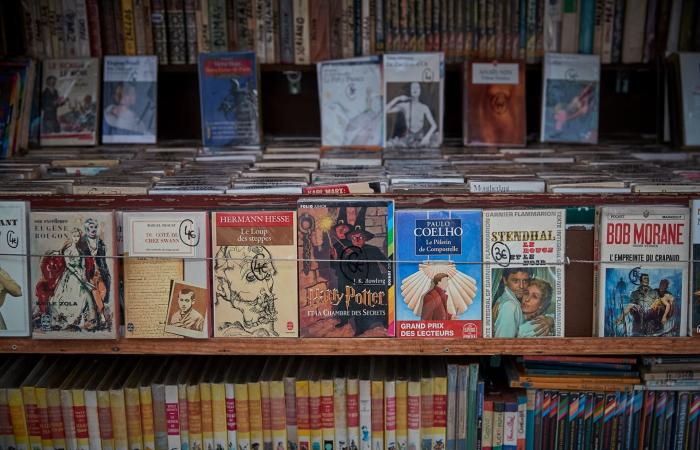 وسط عالم رقمي.. كيف نجا سوق كتب عمره 475 عامًا في قلب باريس؟