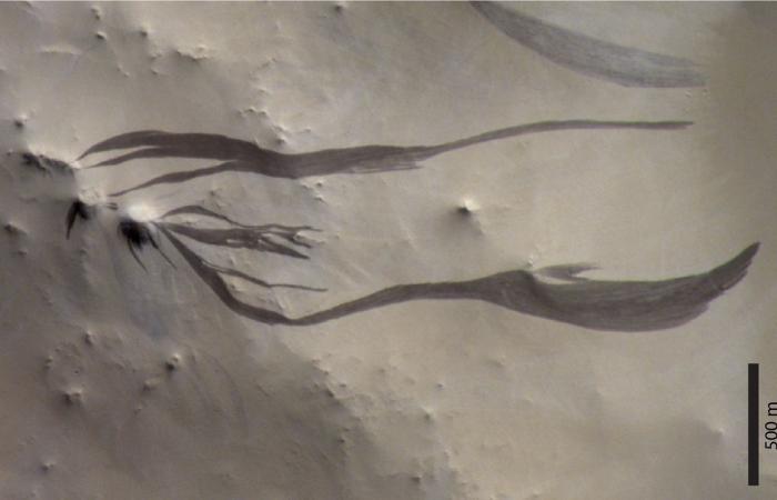 حصاد
      2025...
      «الحوسبة
      الكمومية»
      تتصدر
      المشهد
      وقفزات
      الذكاء
      الاصطناعي
      تتسارع