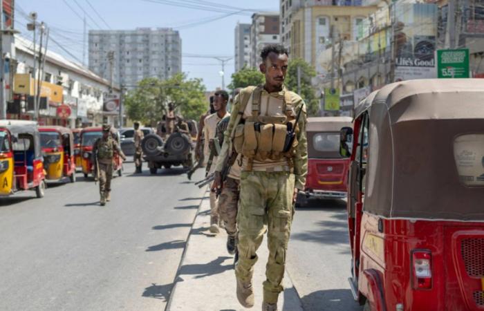 الاعتراف
      الإسرائيلي
      بـ«أرض
      الصومال»
      يُوسع
      أهداف
      «الشباب»...
      فهل
      تتعاون
      مع
      مقديشو؟