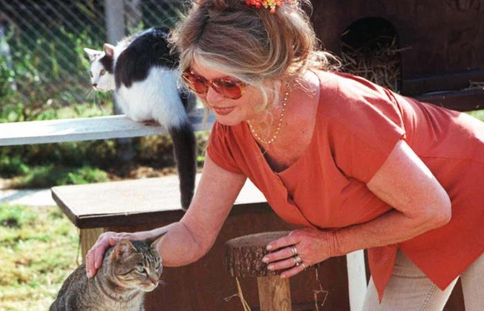 "أسطورة القرن".. وفاة بريجيت باردو نجمة الإغراء الفرنسية والمدافعة الشرسة عن حقوق الحيوان