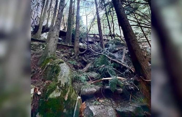 Popular
      hiking
      trail
      in
      Squamish,
      B.C.,
      closed
      after
      rockfall