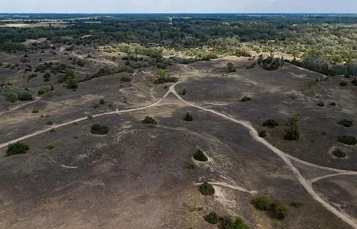 ‘It’s
      getting
      worse
      year
      after
      year’:
      Could
      water
      from
      Hungary’s
      thermal
      spas
      save
      arid
      farmland?