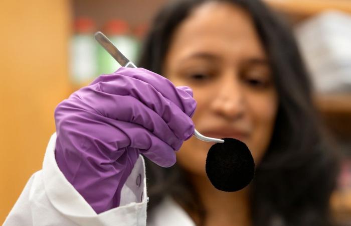 كأنك تنظر إلى "ثقب أسود".. قد يكون هذا القماش أكثر مادة فائقة السواد على الإطلاق