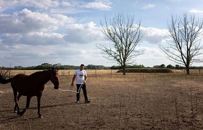 ‘It’s
      getting
      worse
      year
      after
      year’:
      Could
      water
      from
      Hungary’s
      thermal
      spas
      save
      arid
      farmland?