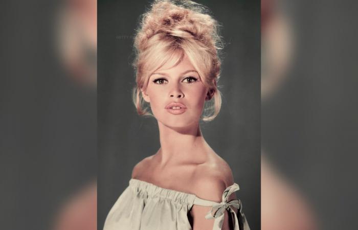 أحدثت بجمالها ثورة جنسية في عالم السينما.. وفاة بريجيت باردو عن عمر يناهز 91 عامًا