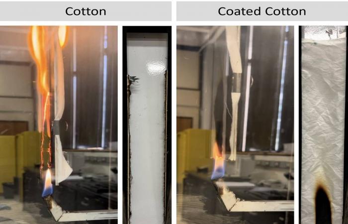 دراسة
      تكشف
      دور
      الالتهاب
      المزمن
      في
      تمهيد
      الطريق
      لتطوّر
      «اللوكيميا»
