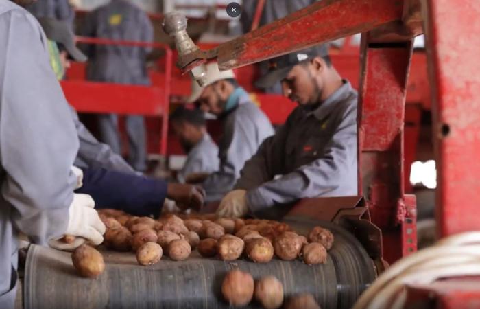 موجة
      برد
      ترفع
      أسعار
      الغاز
      في
      أوروبا