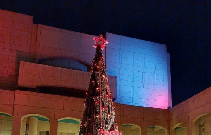 احتفالات
      مصرية
      بـ«رأس
      السنة»
      تتجاوز
      الجدل
      العقائدي