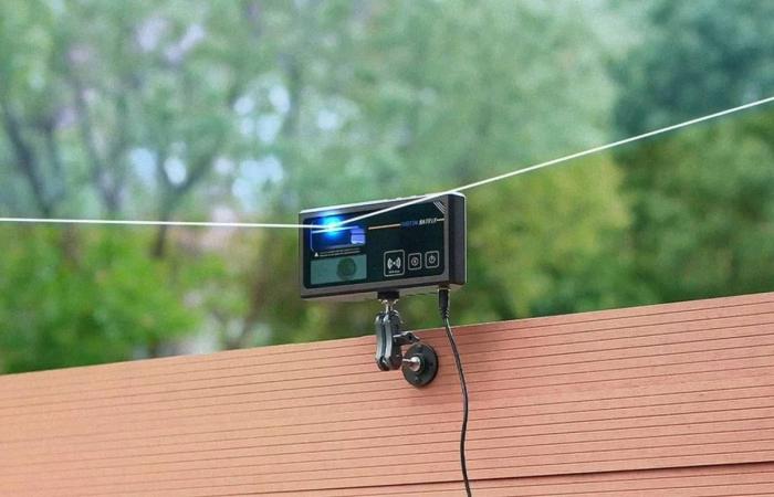 دراسة
      تكشف
      دور
      الالتهاب
      المزمن
      في
      تمهيد
      الطريق
      لتطوّر
      «اللوكيميا»