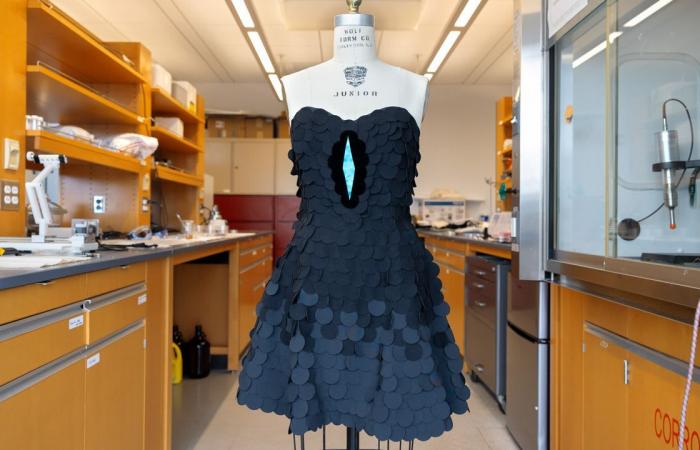 كأنك تنظر إلى "ثقب أسود".. قد يكون هذا القماش أكثر مادة فائقة السواد على الإطلاق