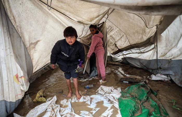 لقاء
      ترمب
      -
      نتنياهو...
      ما
      المكاسب
      والخسائر
      المنتظرة
      لـ«اتفاق
      غزة»؟