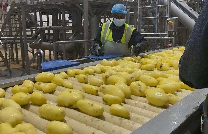 تنفيذ
      «المجموعة
      الثالثة»
      من
      تطوير
      طرق
      الرياض
      بقيمة
      2.13
      مليار
      دولار