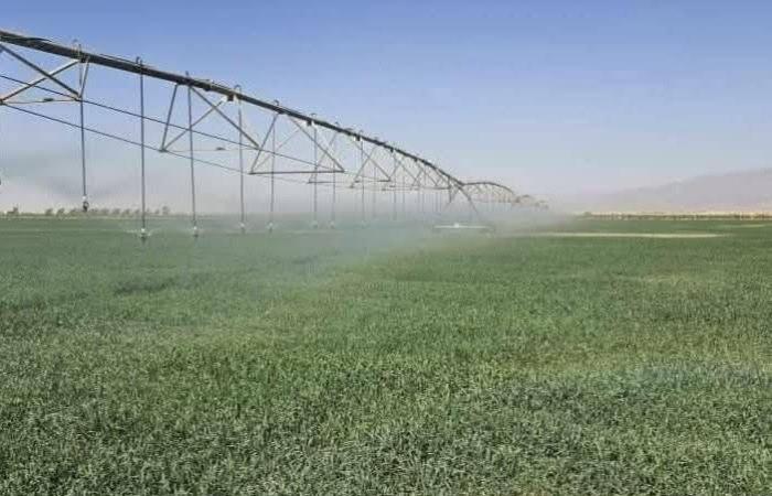 الحوثيون
      يصعّدون
      اقتصادياً
      ضد
      الحكومة
      اليمنية