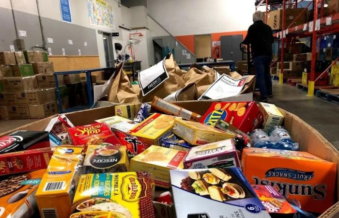 'A
      darker
      season':
      Guelph-based
      video
      series
      aims
      to
      tackle
      winter
      mental-health
      challenges