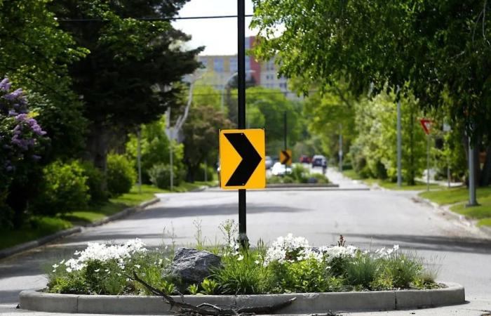 Leong:
      Alberta
      needs
      more
      routine
      driver
      testing