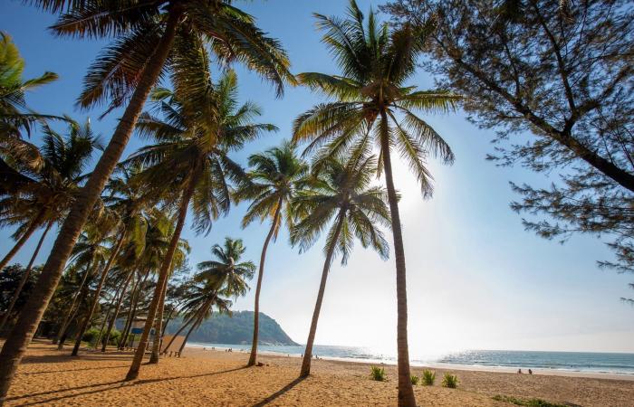 كيف سيتغير السفر الجوي في عام 2026؟.. إليك أبرز الصيحات المتوقعة