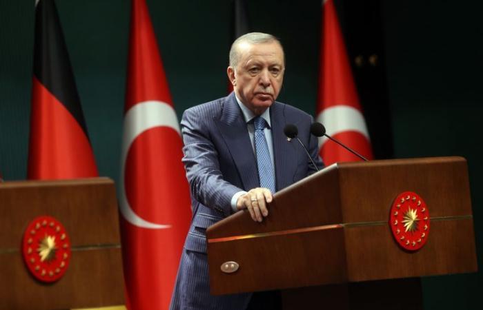 رئيسا تركيا والنيجر يبحثان هاتفياً العلاقات الثنائية وقضايا إقليمية