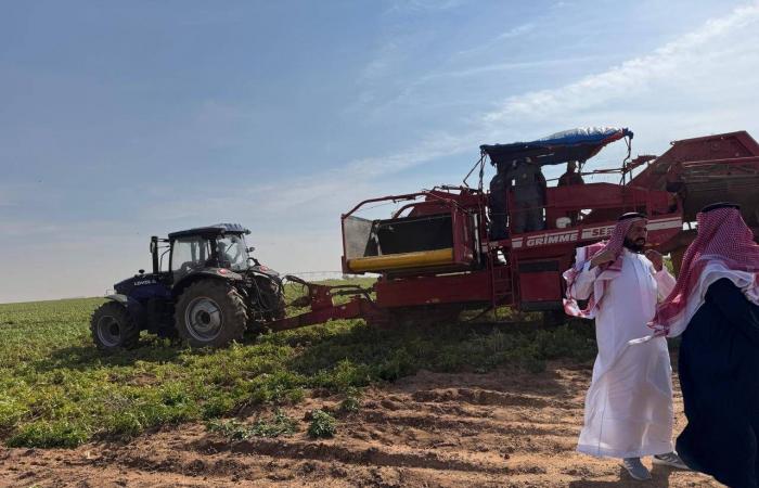 موجة
      برد
      ترفع
      أسعار
      الغاز
      في
      أوروبا