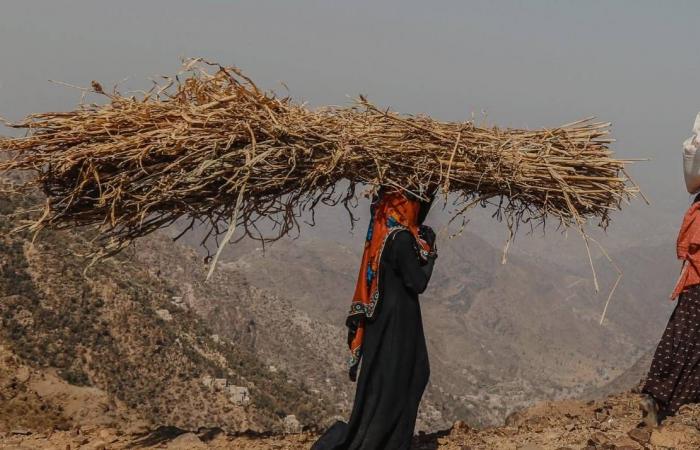 لماذا
      يرى
      الحوثيون
      اعتراف
      إسرائيل
      بـ«أرض
      الصومال»
      تهديداً
      مباشراً؟