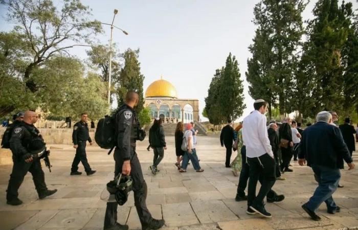 قوات الاحتلال الإسرائيلي والمستوطنون يواصلون اعتداءاتهم على مدن وأهالي الضفة الغربية