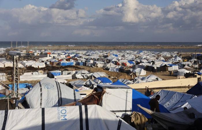 «اتفاق
      غزة»:
      موعد
      محتمل
      للمرحلة
      الثانية
      يجابه
      «فجوات»