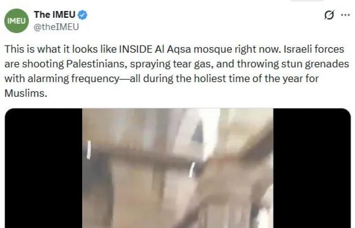 Terry
      Newman:
      Greta's
      journey
      from
      child
      climate
      activist
      to
      terrorist
      mascot