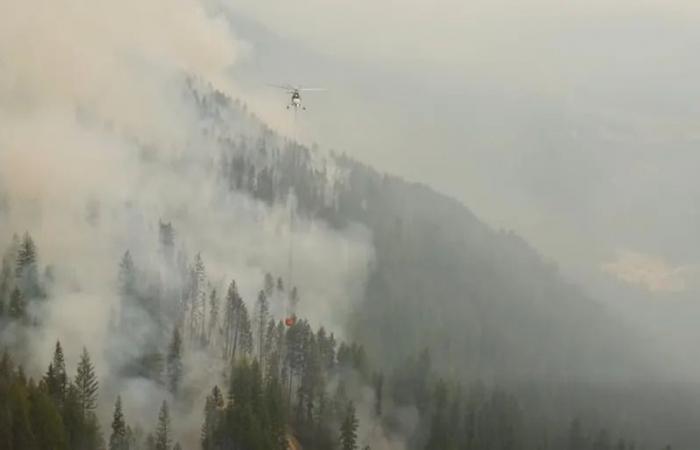 Man
      banned
      from
      Nelson,
      B.C.,
      sentenced
      for
      arson
      during
      heat
      of
      2024
      wildfire
      season