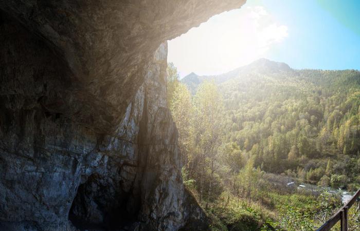 في العام 2025.. العلماء يكشفون أكبر لغز في تطور الإنسان